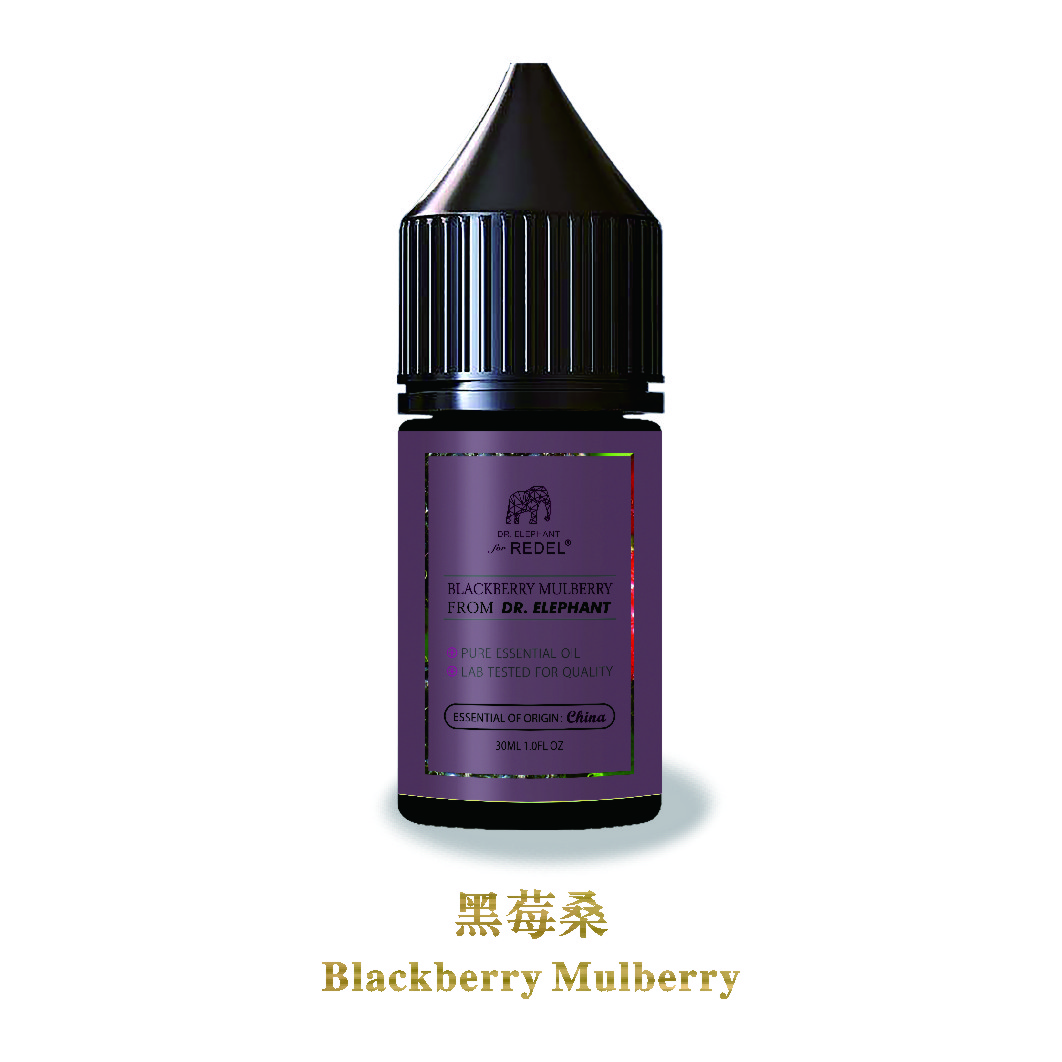 REDEL Nicotine Salts E-liquid blackberry mulberry