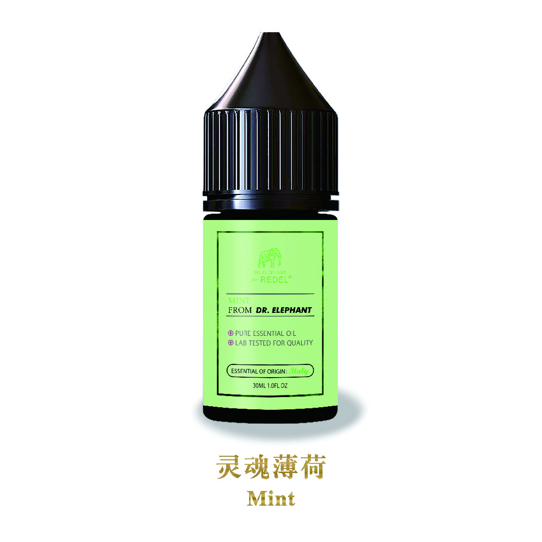 REDEL Nicotine Salts E-liquid mint